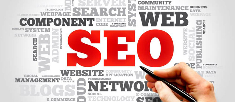 Maximize Your Online Potential with a Trusted Charlotte SEO Company