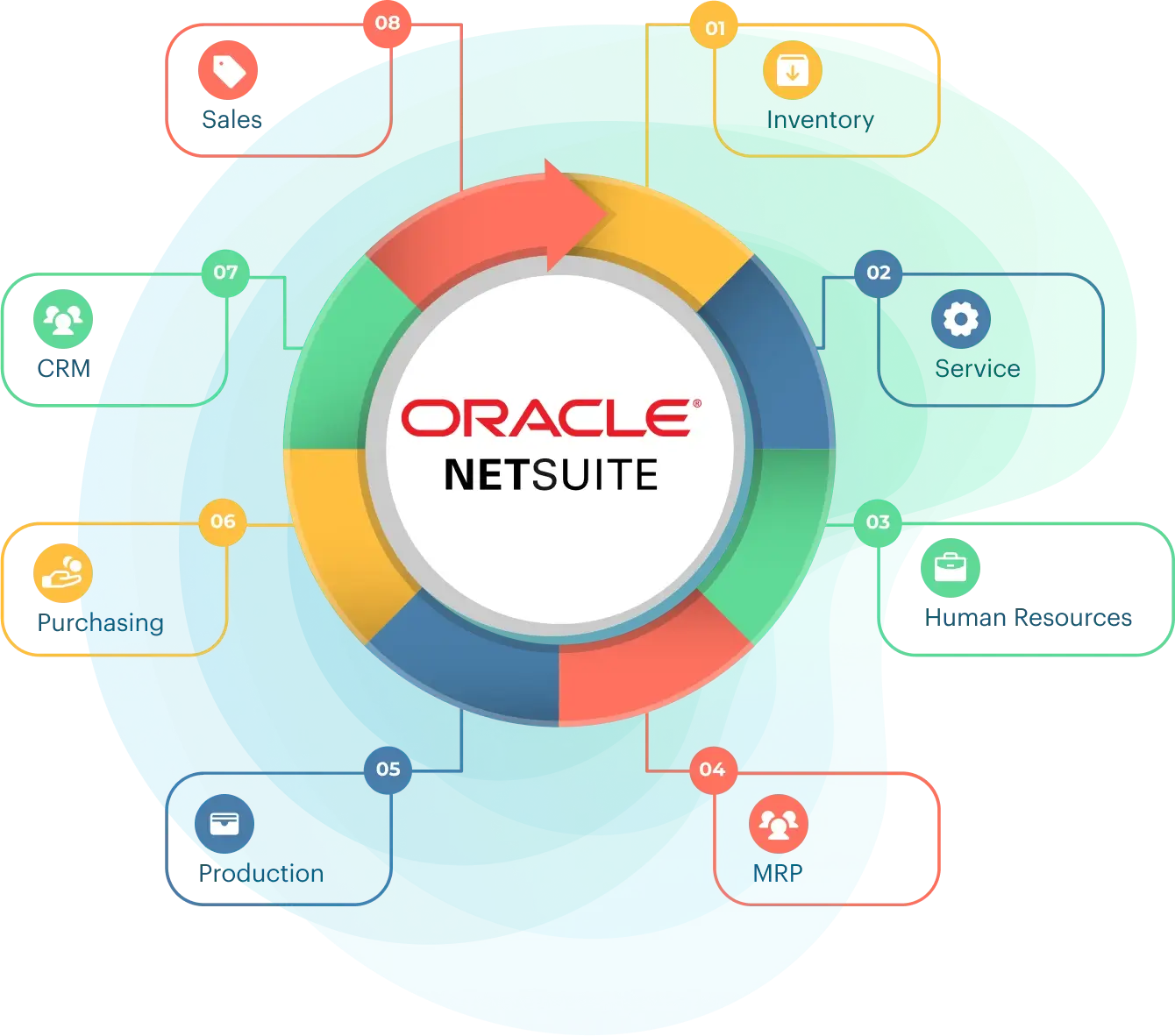 Custom NetSuite Development Charlotte