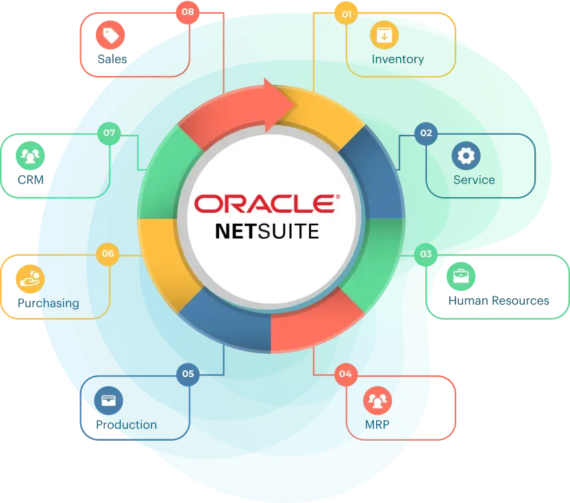 custom NetSuite development services Charlotte